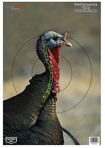 Targets Birchwood Casey Paper BIR 35403          PREGAME 12X18 TURKEY        8PK